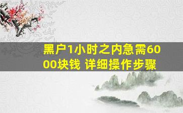 黑户1小时之内急需6000块钱 详细操作步骤